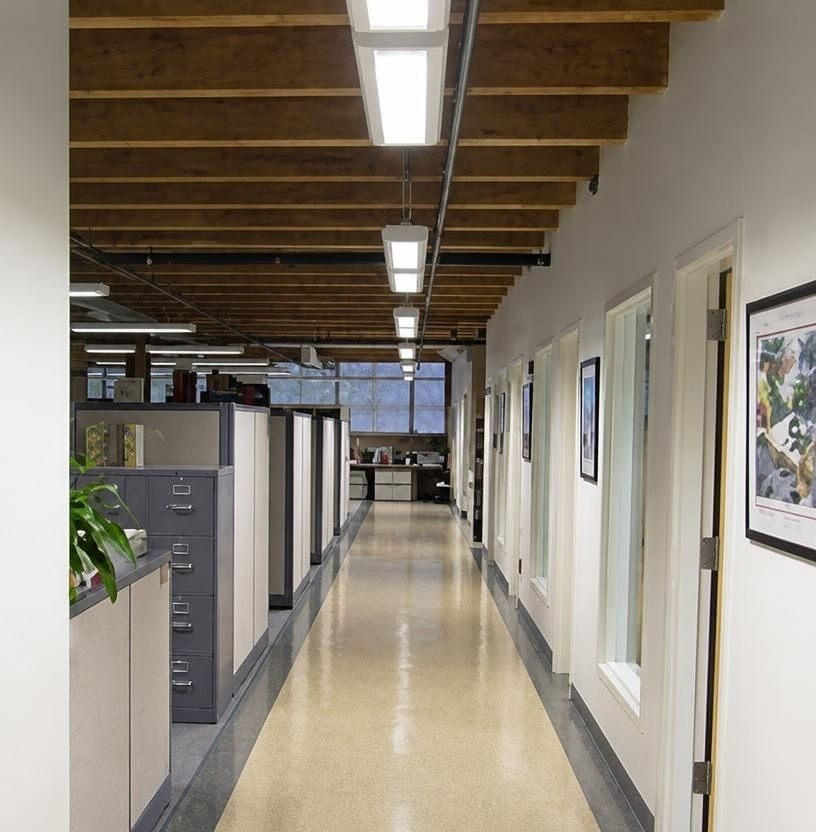 Open office corridor with exposed timber ceiling